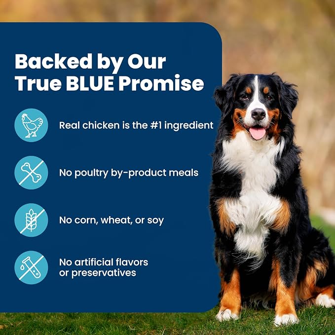 Blue Buffalo Life Protection Formula Healthy Weight Adult Dry Dog Food, Chicken & Brown Rice, Supports Immunity with Antioxidant-Rich LifeSource Bits, Promotes Lean Muscles & Weight Control, 15 lbs.