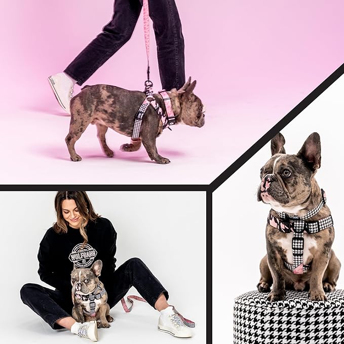Wolfgang Heavy Duty Adjustable Dog Harness, Pull-Tested to Over 800 lbs for Walking & Training, HoundsPink Print, Extra Large