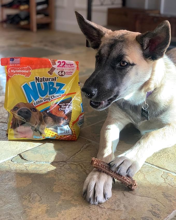 Nylabone Nubz Natural Dog Chew Treats for Large Dogs, Long Lasting Dog Chew Bones Made in the USA, Chicken Flavor Breath Freshener Dental Chews, Large Dog Bones For Dogs Over 30 lbs. (18 Count)