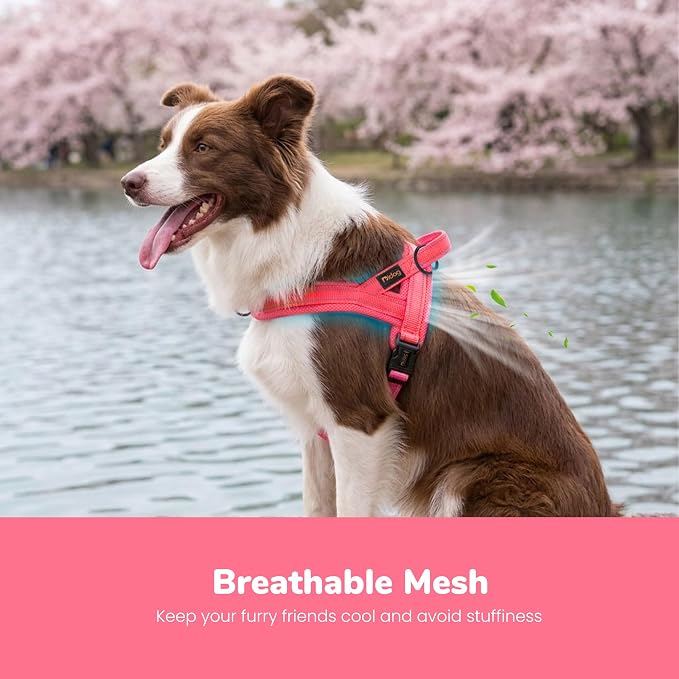 Didog No Pull Dog Harness with Breathable Mesh Padded,Reflective & Quick Fit Light Weight Dog Strap Vest Harness,Easy for Walking Training (M:Chest 21-26", Pink)