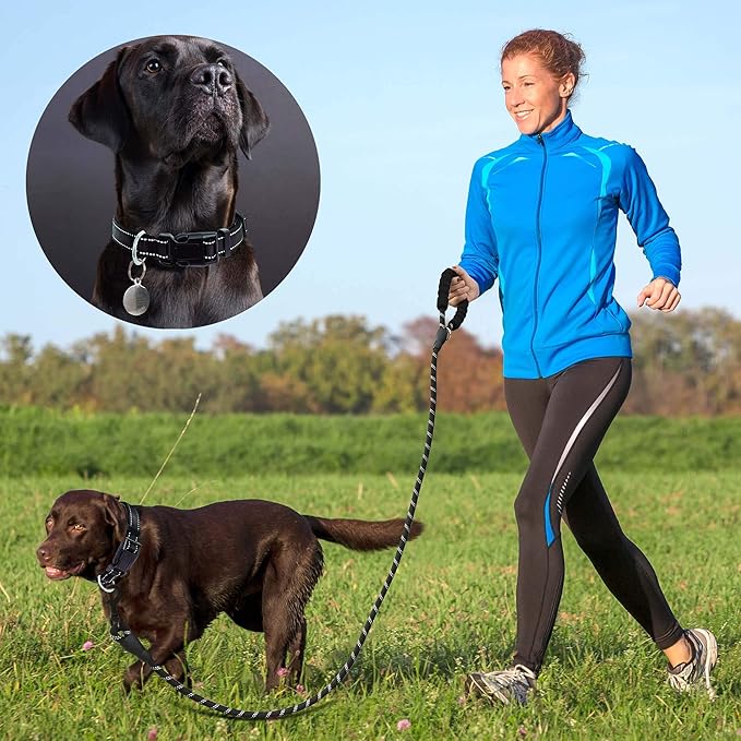 Ladoogo Reflective Dog Collar Padded with Soft Neoprene Breathable Adjustable Nylon Dog Collars for Small Medium Large Dogs (Small (Pack of 1), Black Collar+Leash)
