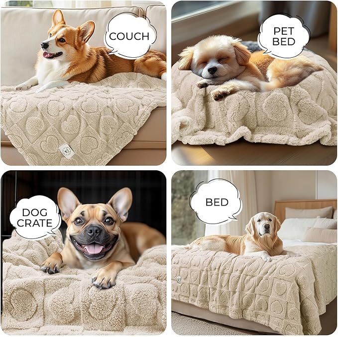 Luciphia Small Dog Blanket Washable Pet Bed Cover Soft Fluffy Puppy Blanket with Premium Fleece 300GSM Cozy Calming Cat Blankets for Indoor Cats Beige 30x20 inch