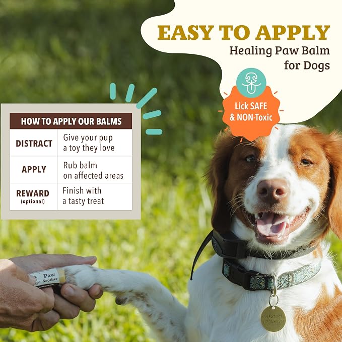 Natural Dog Company Paw Soother Balm Bundle, with 4 Travel Sticks (0.15 oz Each), Lotion, Moisturizes & Soothes Irritated Paws & Elbows, Protects from Cracks & Wounds, Lick-Safe, Made in USA