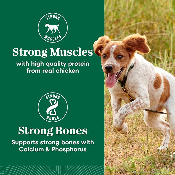 Nutro Natural Choice Small Breed Dry Dog Food, Adult Dog Food Dry Chicken and Brown Rice, 13 lbs.