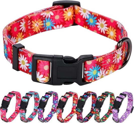 Girl Dog Collars Cute Pink Daisy Collar, Spring and Summer Flower for Small Dogs