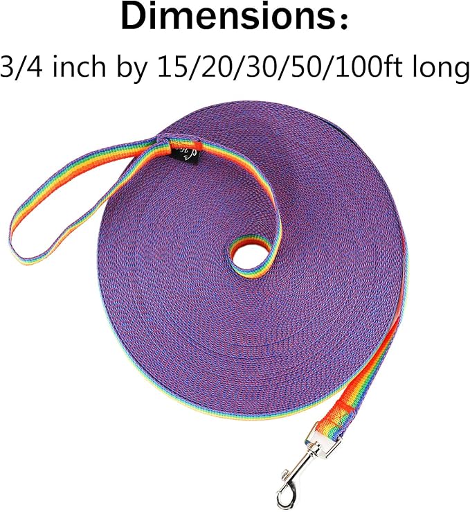 Hi Kiss Dog/Puppy Obedience Recall Training Agility Lead - 15ft 20ft 30ft 50ft 100ft Training Leash - Great for Training, Play, Camping, or Backyard (30 Feet, Rainbow)