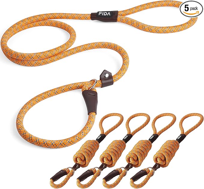 Fida Durable Slip Lead Dog Leash Bulk Pack of 5, Heavy Duty 1/2" x 6 FT Comfortable Strong Rope Slip Lead for Large, Medium Dogs No Pulling Pet Training Leash with Highly Reflective (Orange)