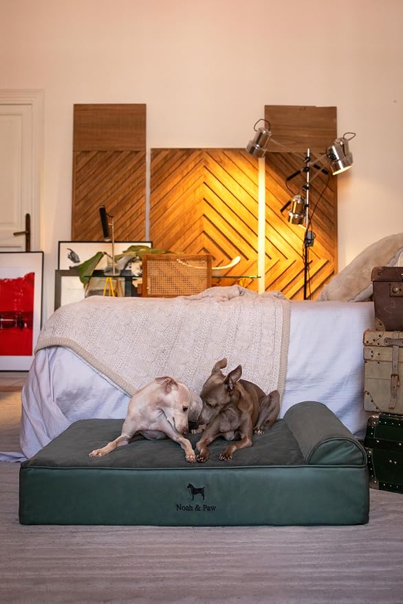 NOAH & PAW Large Dog Bed, 35x25x8.7 Inch, Orthopedic Dog Beds, Eggshell Memory Foam Infused with Cooling Gel, Water Resistant, Machine Washable, Includes Inner Cover (Faux Leather)