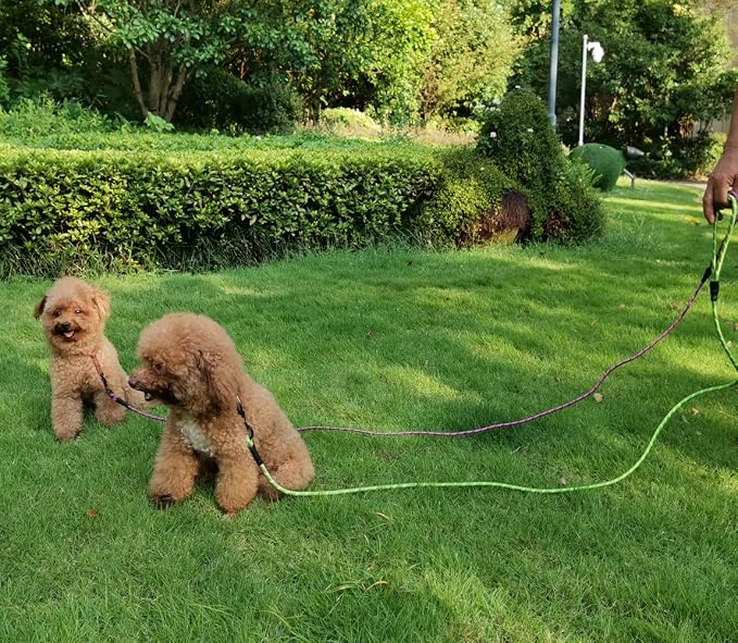 WYuZe Reflective X-Small Dog Leash 6/10/15 FT, Thin 1/5" Lightweight Rope Leash for Puppy Training, Walking Lead for Cats Chihuahua Maltese Small Pets Up to 15lb (6ft, Green)