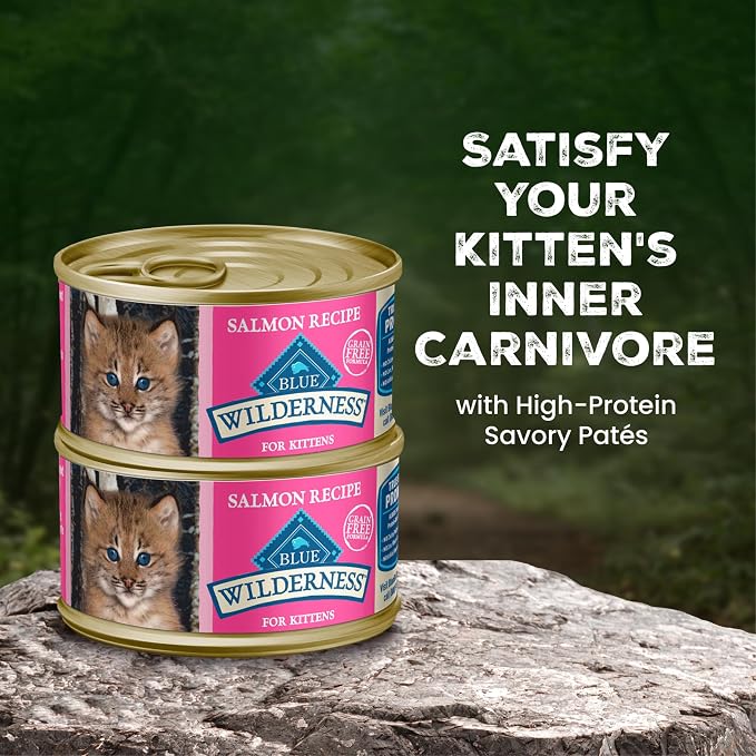 Blue Buffalo Wilderness Kitten Grain-Free Salmon Paté Wet Cat Food with DHA, High-Protein & Made with Natural Ingredients, Supports Healthy Growth & Development, 3-oz. Cans (24 Count)