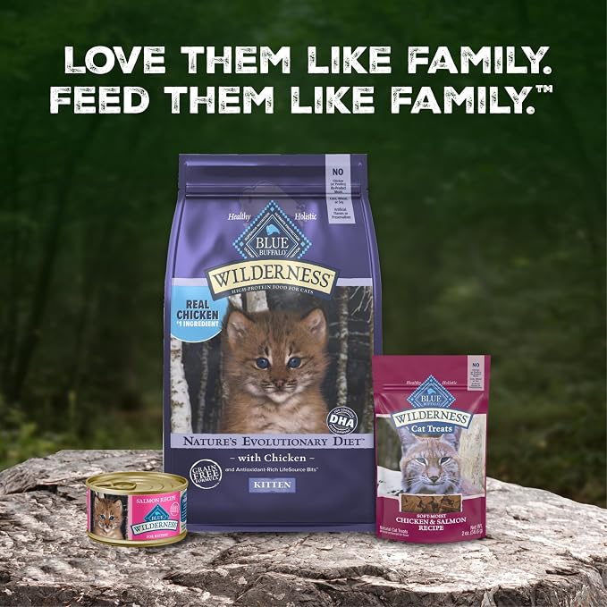 Blue Buffalo Wilderness Kitten Grain-Free Salmon Paté Wet Cat Food with DHA, High-Protein & Made with Natural Ingredients, Supports Healthy Growth & Development, 3-oz. Cans (24 Count)
