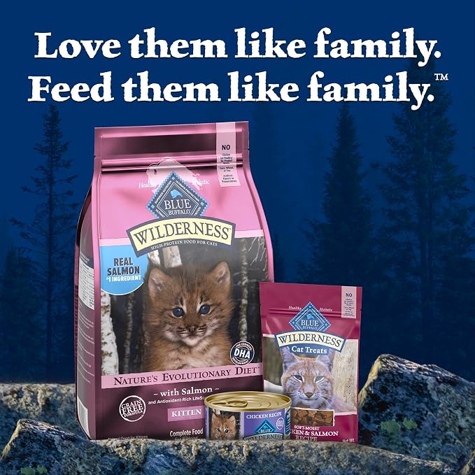 Blue Buffalo Wilderness High-Protein & Grain-Free Dry Food for Kittens, Natural Ingredients with DHA for Cognitive Development, Salmon Recipe, 5lb Bag
