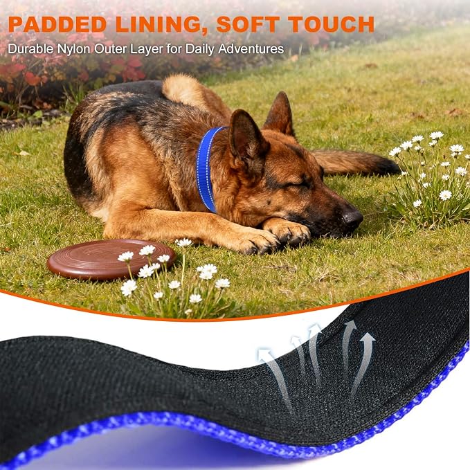 Taglory Reflective Dog Collar for Extra Large Dogs, Soft Neoprene Padded with Escape-Proof Locking Buckle, Upgraded Zinc Alloy Ring, Adjustable for Daily Walking, Blue,XL