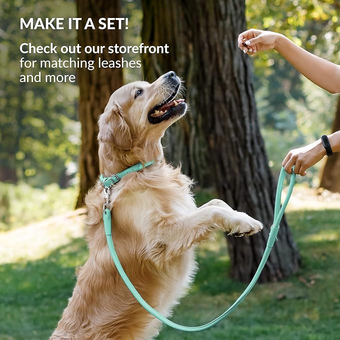 CollarDirect Reflective Rolled Leather Dog Collar, Soft Padded Round Puppy Collar, Handmade Genuine Leather Collar Dog Small Large Cat Collars 13 Colors (8-11 Inch, Mint Green Reflective)