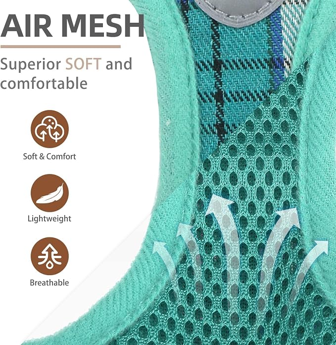 PUPTECK Adjustable Dog Harness Collar and Leash Set Step in No Pull Pet Harness for Small Medium Dogs Puppy and Cats Outdoor Walking Running, Soft Mesh Padded Reflective Vest Harnesses, Lake Green M