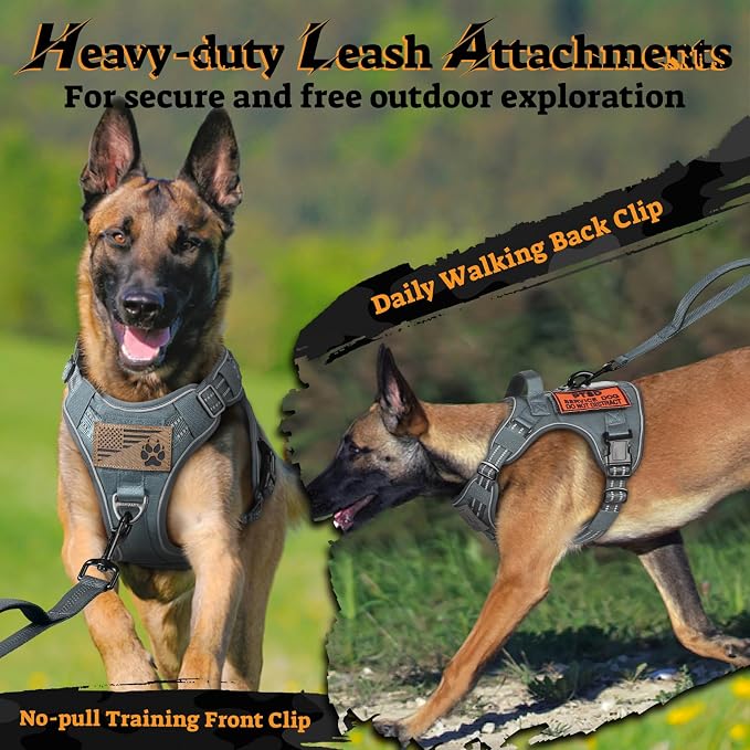 rabbitgoo Tactical Dog Harness for Small Dogs No Pull Adjustable Military Vest with Handle MOLLE Reflective Heavy Duty Dog Vest for Walking Training Hunting Outdoor Working Medium Size Dog Grey S