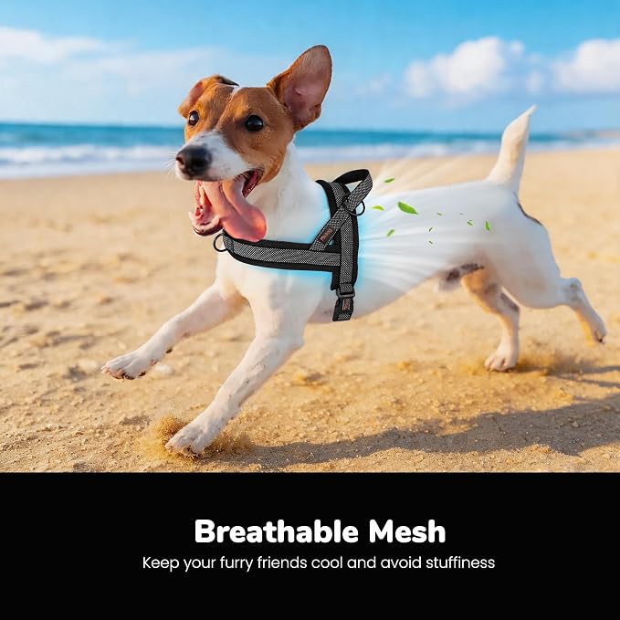 Didog No Pull Dog Harness with Breathable Mesh Padded, Full Reflective & Quick Fit Adjustable Vest Harness, Easy for Training Walking for Small & Medium and Large Dogs (Black, S:Chest 18-22")