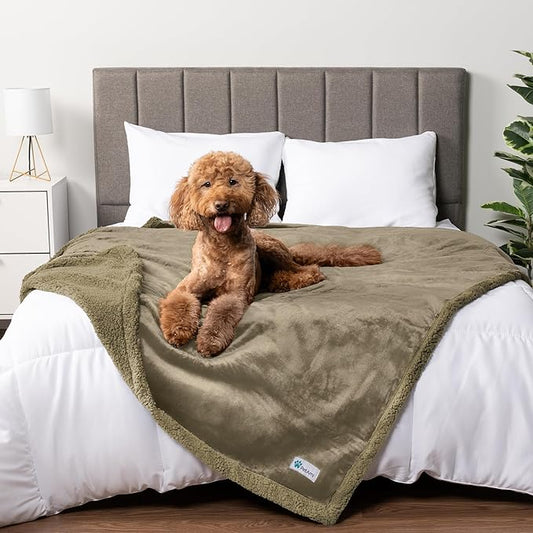 PetAmi Waterproof Dog Blanket for Couch, Queen 90x90, Pee Proof Sherpa Fleece Reversible Pet Throw, Furniture Protector for Bed Sofa, Soft Washable Cover for Large Dogs Cats, Taupe Sherpa