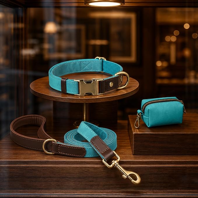 Didog Soft PU Leather Dog Collars for Small Dogs,Classic Adjustable Dog Collars with Quick Release Metal Buckle,Easy Clean and Comfortable with Nylon Lining,Light Blue,S Neck 11-15"