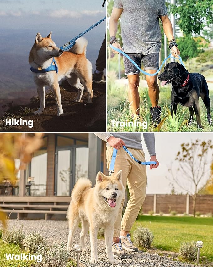 OutdoorMaster Bungee Dog Leash, Heavy Duty Dog Leash with Shock Absorption, 2 Padded Handles Training Leash, Improved Dog Safety and Comfort - Blue Upgraded, 4FT