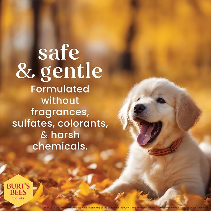 Burt’s Bees for Pets Tear Free Puppy Shampoo & Conditioner with Buttermilk, 2 in 1 Gentle Dog Shampoo for Puppies, Cleans and Conditions Sensitive Skin, 16 Fl Oz