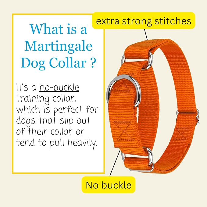Country Brook Petz - Martingale Dog Collar - Heavy-Duty Training Collar with No Buckle - Service Dog Collar for All Pups - 20 Vibrant Colors (Orange, 1 Inch, Large)