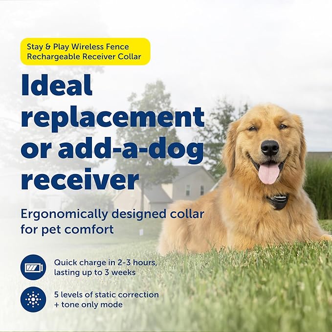 PetSafe Stay & Play Wireless Pet Fence Receiver Collar Only for Dogs and Cats, Waterproof and Rechargeable, Tone and Static Correction - From The Parent Company of INVISIBLE FENCE Brand