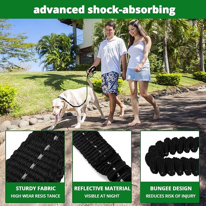 Rope Dog Leash 6 FT: Heavy Duty Leashes with Swivel Lockable Hook Reflective Threads Bungee and Padded Handle - Dog Lead for Large Small Medium Dogs Outside Walking Hiking Green