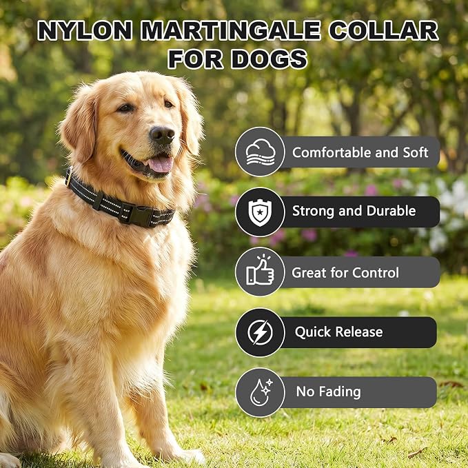 Hikiko Martingale Collar for Dogs Reflective Nylon Puppy Dog Collar with Quick Release Buckle Adjustable Training No Slip Dog Collar (X-Small, Black)