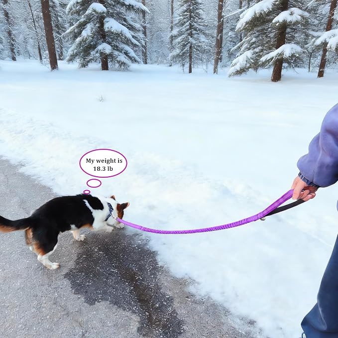 WYuZe 4-5.5 FT Bungee Dog Leash, Reflective Shock Absorbing Elastic Nylon Leash with Comfortable Handle, for Strong Puppy/Medium Dogs Anti-Pull Training Walking (Purple, 3/4"-Wide)