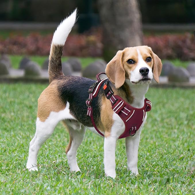 Timos Dog Harness Medium Sized, No Pull Pet Harness with Neck Lockable Snap, No Choke Front Clip Reflective Vest, Adjustable Metal Rings 3 Buckles, Easy Control Handle for Medium Dogs Burgundy M