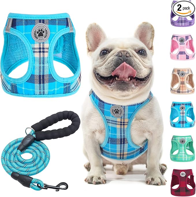 BEAUTYZOO Small Dog Harness and Leash Set,Step in No Choke No Pull Soft Mesh Dog Harnesses Reflective for Extra-Small/Small Medium Puppy Dogs and Cats, Plaid Dog Vest Harness for XS S Pets, Blue M