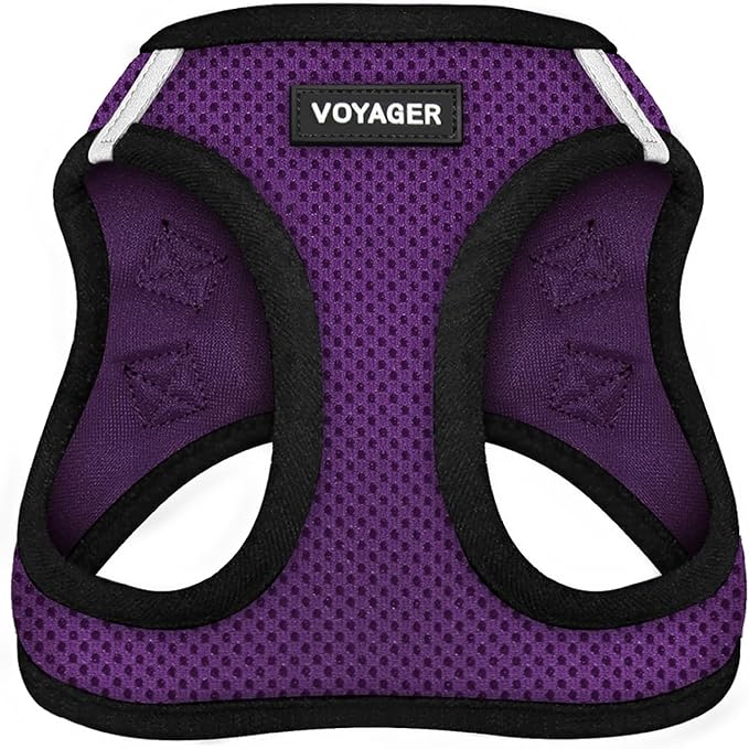 Best Pet Supplies Voyager Step-in Air Harness - All Weather Mesh, Reflective, No Pull Harness for Dogs, Cats - Secure with Hook & Loop Fastener, Buckle, Double D-Rings - Purple/Black Trim, M