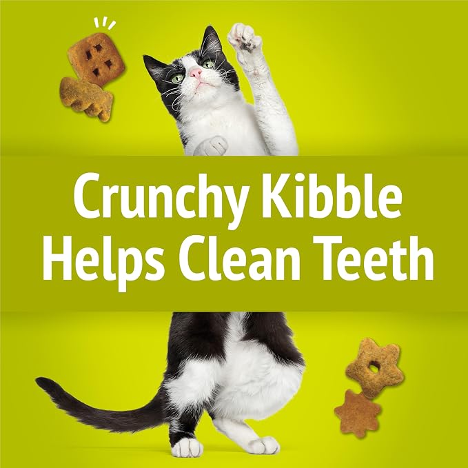 Friskies Purina Party Mix Morning Munch Crunch Egg, Bacon and Cheese Flavors Cat Treats - 20 oz Canister
