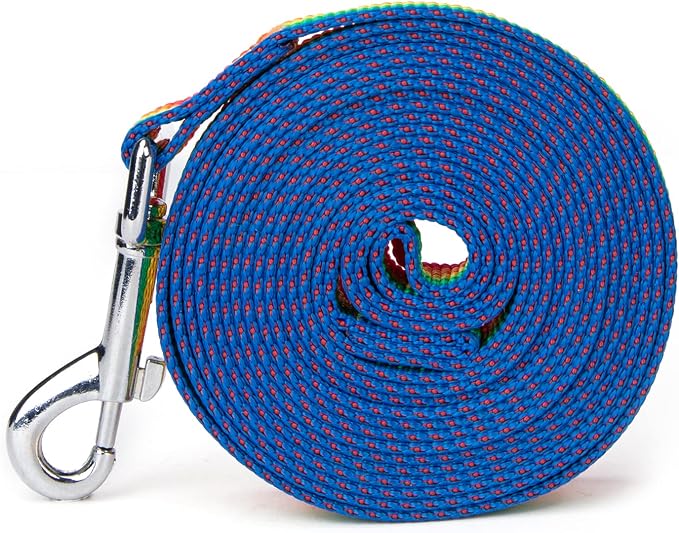 Strong Durable Nylon Dog Training Leash, 1 Inch Wide Traction Rope, 6 ft 10ft 15ft Long, for Small and Medium Dog (Rainbow, 15 Feet)