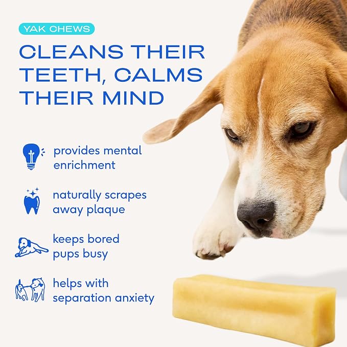 Native Pet Yak Cheese Himalayan Dog Chews - Long Lasting Dental Sticks for Small Breeds– 100% All Natural Himalayan Yak Chews for Small Dogs – Cheese Bone for Aggressive Chewers - 5 Per Pack