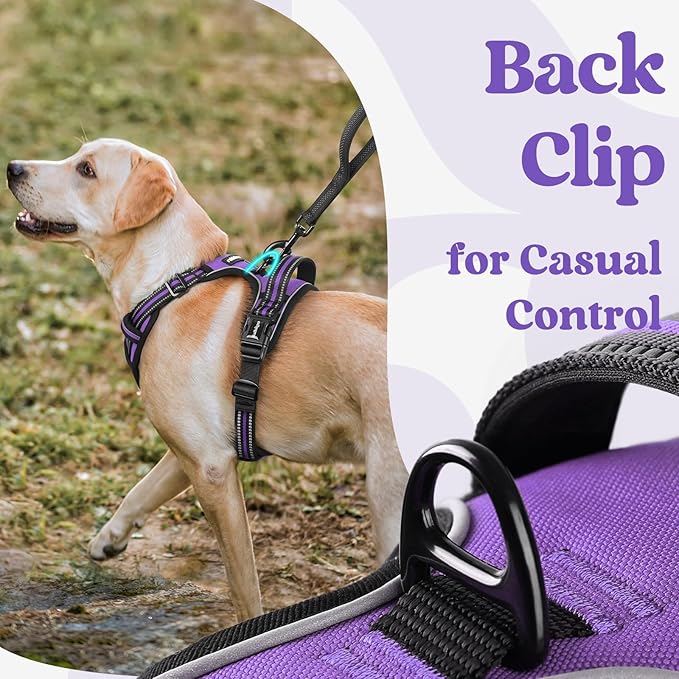 rabbitgoo Dog Harness for Large, No Pull Easy On & Off with 3 Buckles Pet Harness, Adjustable Soft Walking Vest with 2 Clips and Handle, Reflective for Large Dogs, Purple, L