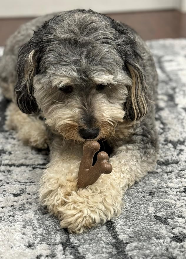 SPOT Bam-Bones Wishbone Dog Chew Toy, Bamboo Fiber Blend, Non-Splintering Durable Chew for Light to Moderate Chewers, Adult Dogs & Teething Puppies 10–30 lbs, Chicken Flavor, 5.25 in