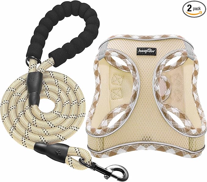 haapaw Dog Harness with Leash Set, No Pull Adjustable Reflective Step-in Puppy Harness with Thickened Padded Vest for Extra-Small/Small Medium Dogs
