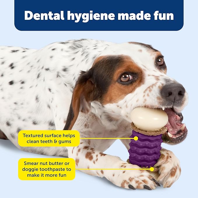 PetSafe Busy Buddy Nobbly Nubbly Treat Holding Dog Toy Strong Chewers Small