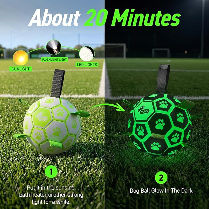 QDAN Glow in The Dark Dog Toys Soccer Ball with Straps, Outdoor Interactive Dog Toys Puppy Birthday Gifts, Dog Tug Water Toy, Light Up Dog Balls for Small & Medium Dogs（6 Inch Size 2）