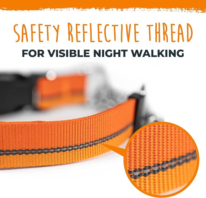 Mighty Paw Martingale Dog Collar 2.0 | Trainer Approved Limited Slip Collar with Stainless Steel Chain & Heavy Duty Buckle - Modified Cinch for Gentle & Effective Pet Training - Large, Orange