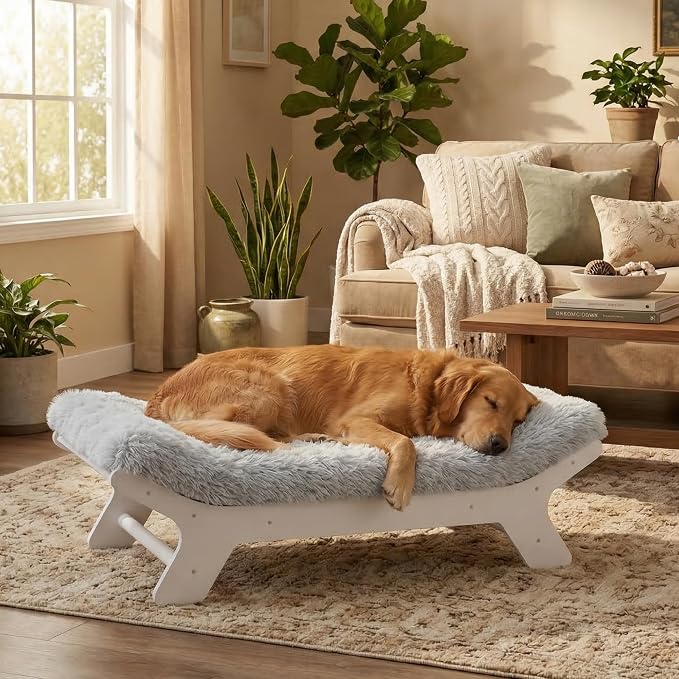 Muihood Wood Elevated Dog Bed Frame and Egg Crate Foam Mattress, Luxurious Suitable for Pets Up to 80 lbs, White, L