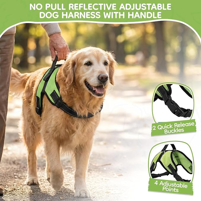 No Pull Reflective Adjustable Dog Harness With Handle- Comfortable Soft All Weather Mesh, Easy On Puppy Harness For Small Medium and Large Dogs (Green) X-Large