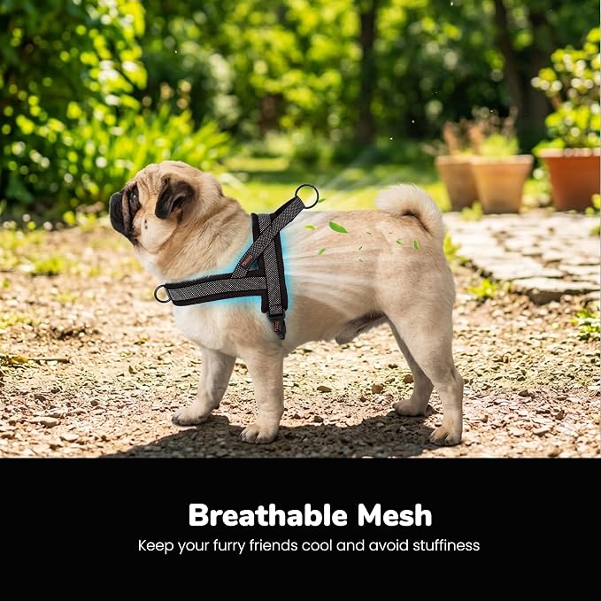 Didog No Pull Dog Harness with Breathable Mesh Padded, Full Reflective & Quick Fit Adjustable Vest Harness, Easy for Training Walking for Small & Medium and Large Dogs (Black, M:Chest 21-26")
