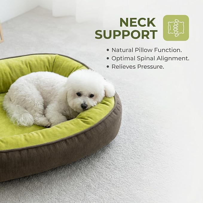 Calming Dog Bed for Medium to Large Dogs 30"x21" - Orthopedic Washable Pet Bed with Anti-Slip Bottom, Indoor Soft Cat Bed with Removable Cover (Lime Green)