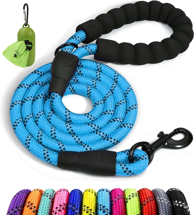 Taglory Rope Dog Leash 6 FT with Comfortable Padded Handle, Highly Reflective Threads Leash and Anti-Tangle Clip for Walking Small Dogs, 3/8 inch, Blue