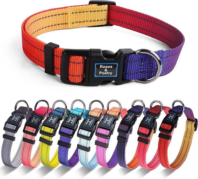 Roses&Poetry Large Dog Collar, Adjustable Reflective Durable Pet Collars for Small Medium Large Dogs(PurpleOrange-L)