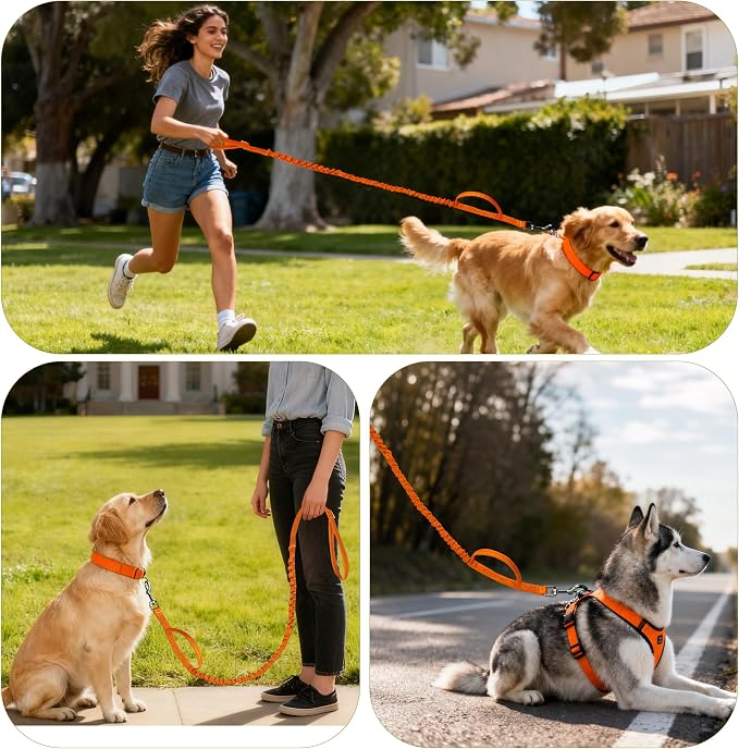 FOVRLZSE Reflective Bungee Dog Leash(Orange) - 4FT to 5FT Adjustable Shock Absorbing Leash with Double Padded Handle & 360° No Tangle Metal Clasp for Small Medium Large Dogs