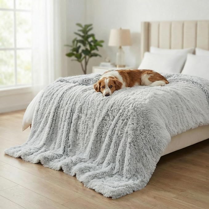 PJYuCien Dog Blanket for Dogs, Puppies and Pets, Lightweight & Portable Fluffy Fleece Throw, Super Soft Plush Cat Blanket for Couch/Car Seat/Furniture, Machine Washable, 60"x80", Grey
